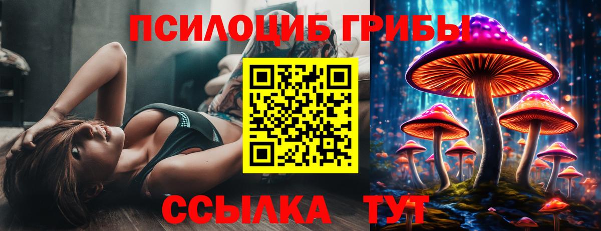 Галлюциногенные грибы Psilocybine cubensis  Псилоцибиновые грибы Psilocybe  Вход с VPN  Воронеж 